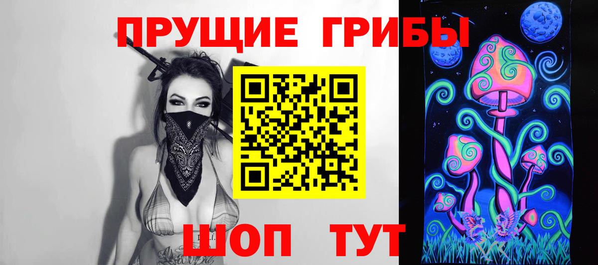 Псилоцибиновые грибы GOLDEN TEACHER  Вход с VPN  где продают   Новоалександровск 